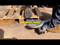 GRASLAND 230X1.8X22.2mm