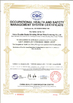 China Hebei Double Goats Grinding Wheel Manufacturing Co., Ltd certificaten